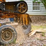 Stump Grinding Services That Restore Safety and Curb Appeal