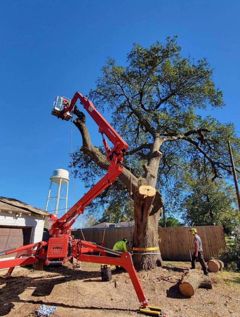 man in red tree crane extended to top of tree